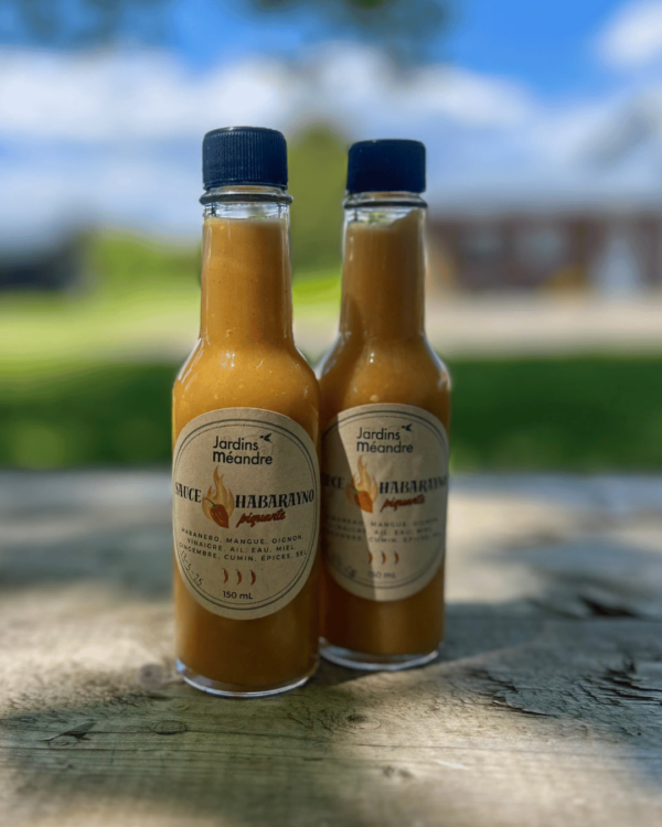 Sauce piquante Habarayno
