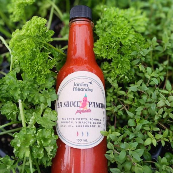 Sauce piquante à Pancho