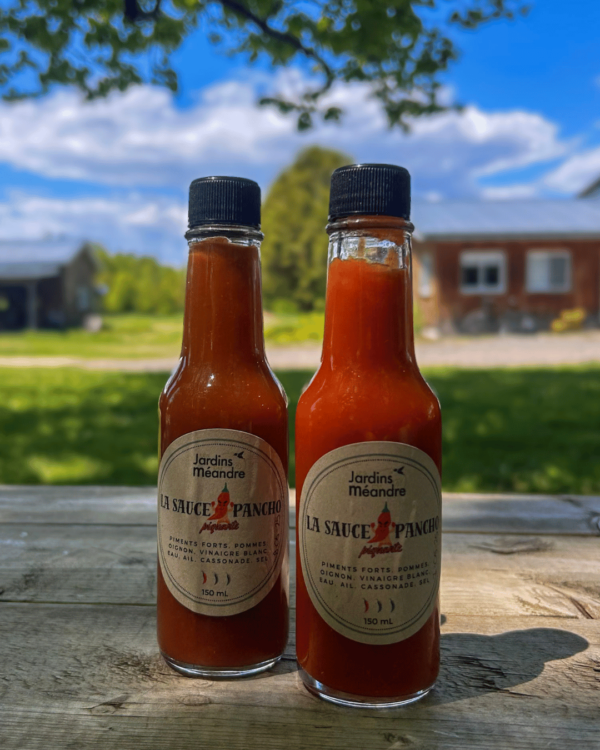 Sauce piquante à Pancho