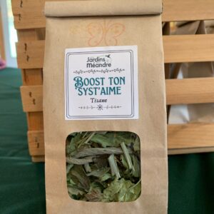 Tisane Boost ton Syst’aime